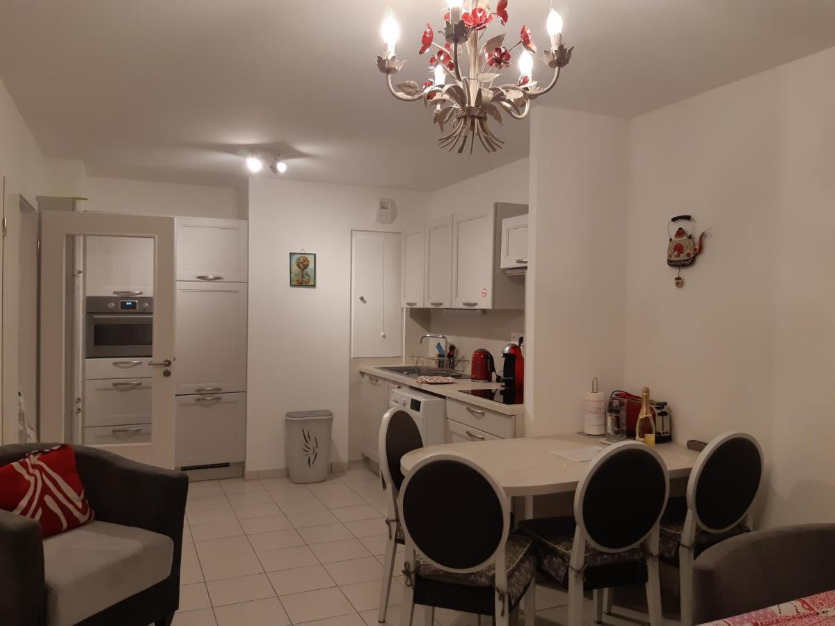 Le Carre Des Fleurs Appartement Straatsburg Buitenkant foto
